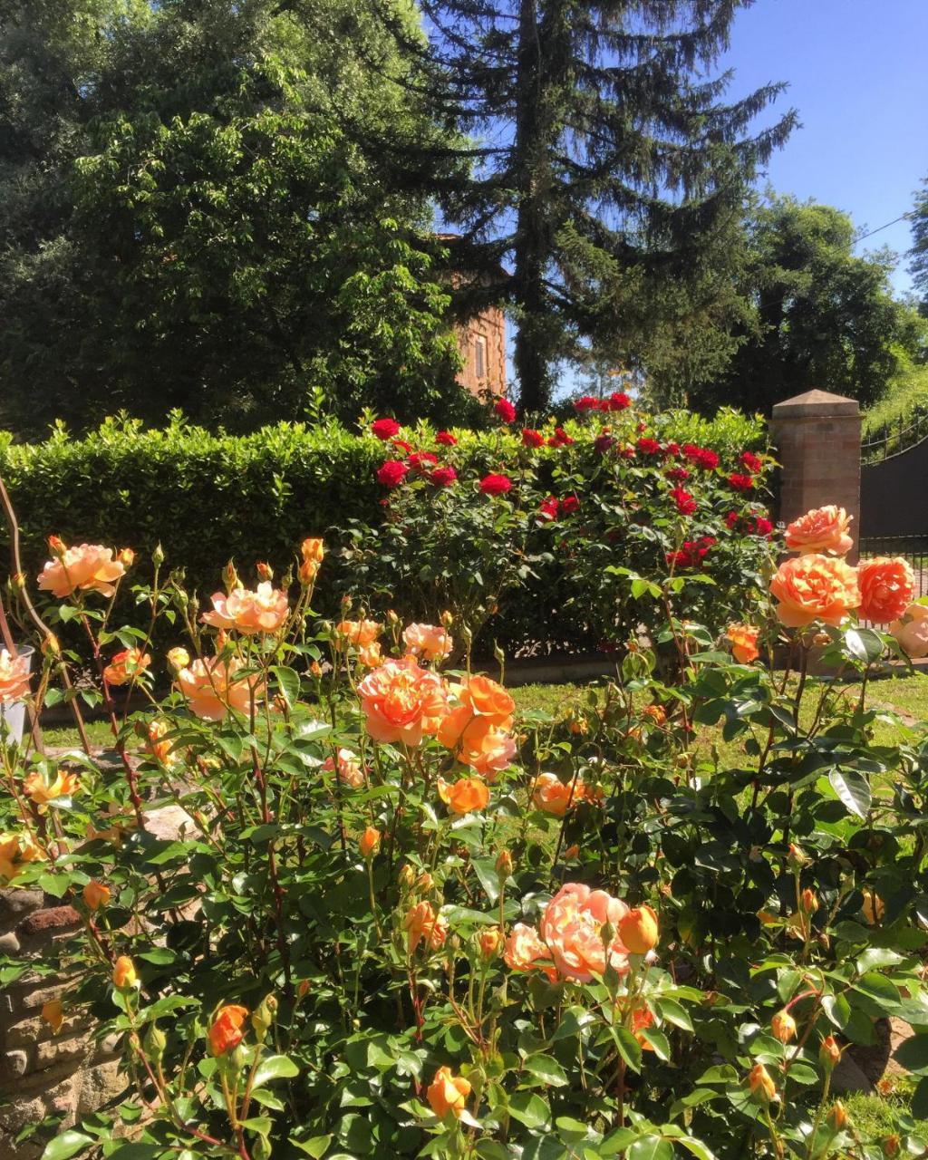 B&B Chiusa Dei Monaci Arezzo Eksteriør bilde