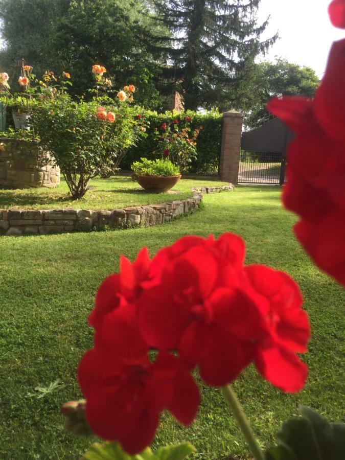 B&B Chiusa Dei Monaci Arezzo Eksteriør bilde